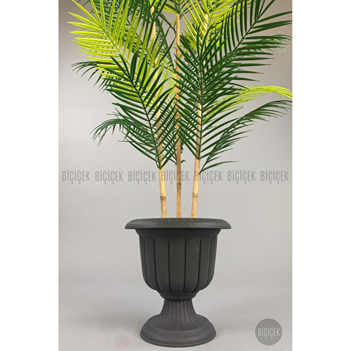 Biçiçek 125cm Areka Ağacı 24 Yapraklı Nergiz Saksıda 1