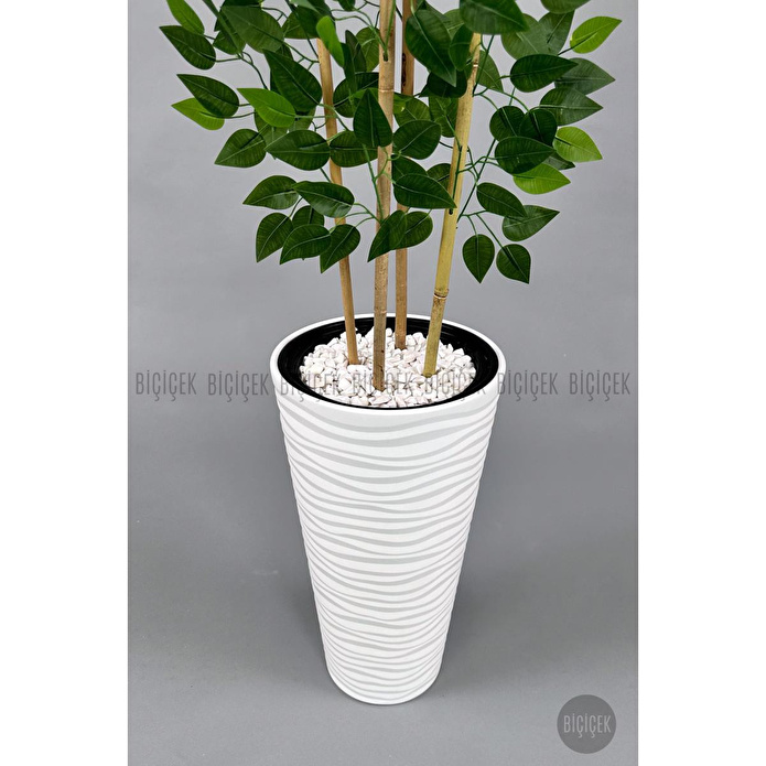 Biçiçek Yapay Benjamin Ağacı 180cm Yoğun Yapraklı Bambu Gövdeli Beyaz Renk Kumsal Saksıda