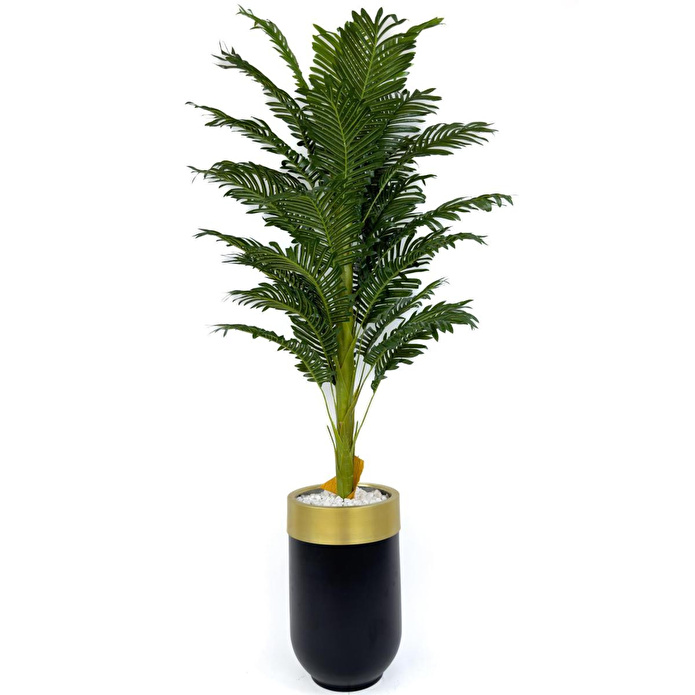 Biçiçek Areka Palmiyesi 170cm Metal Siyah Gold Darbuka Saksıda