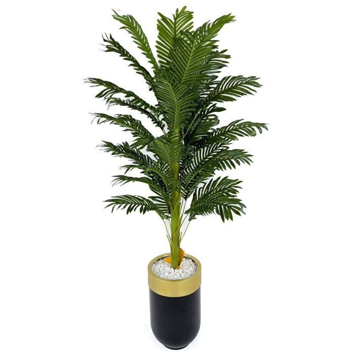 Biçiçek Areka Palmiyesi 170cm Metal Siyah Gold Darbuka Saksıda