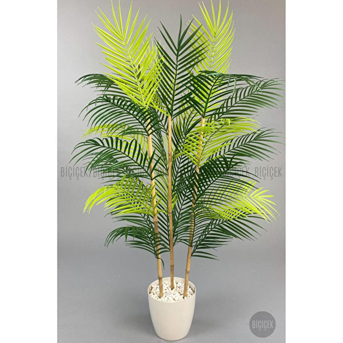 Biçiçek 115cm Areka Ağacı 24 Yapraklı Yakut Saksıda 1
