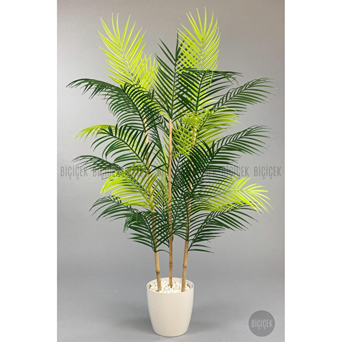 Biçiçek 115cm Areka Ağacı 24 Yapraklı Yakut Saksıda 1