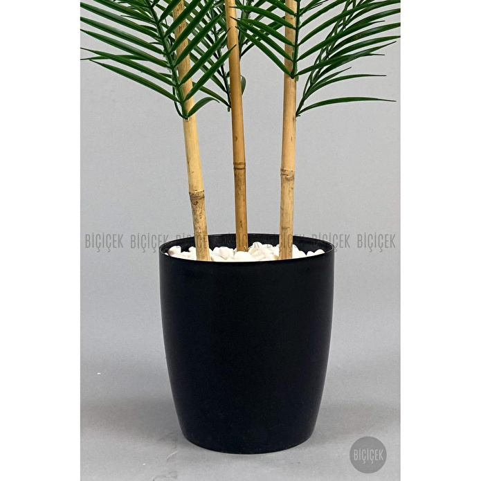 Biçiçek 115cm Areka Ağacı 24 Yapraklı Yakut Saksıda 2