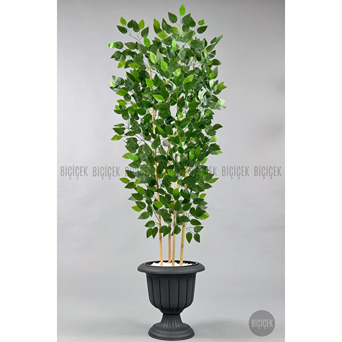 Biçiçek Yapay Benjamin Ağacı 170cm Yoğun Yapraklı Bambu Gövdeli Antrasit Renk Nergis Saksıda