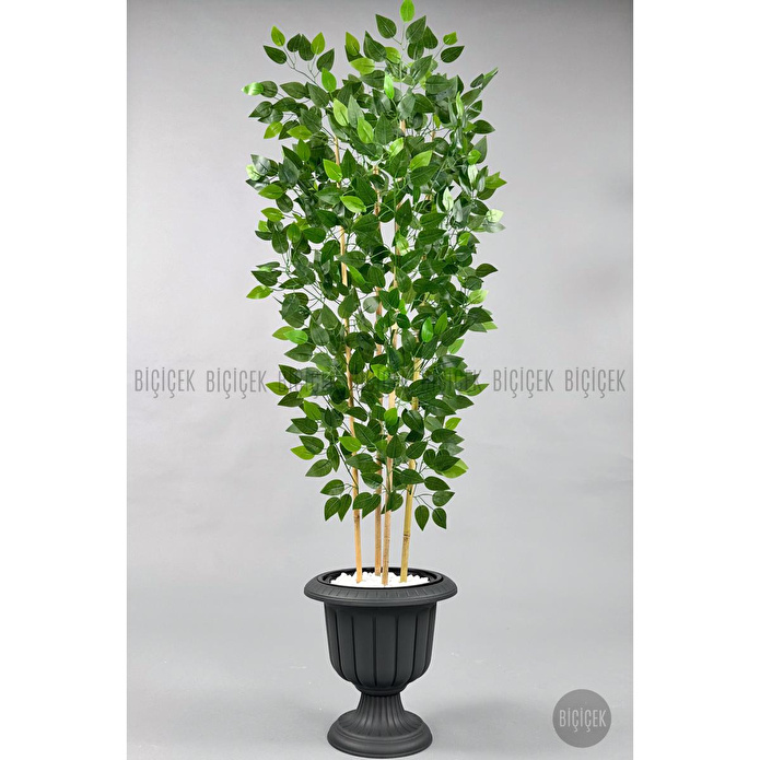 Biçiçek Yapay Benjamin Ağacı 170cm Yoğun Yapraklı Bambu Gövdeli Antrasit Renk Nergis Saksıda