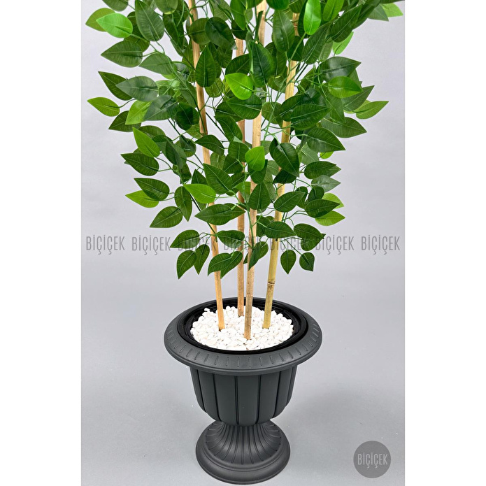 Biçiçek Yapay Benjamin Ağacı 170cm Yoğun Yapraklı Bambu Gövdeli Antrasit Renk Nergis Saksıda