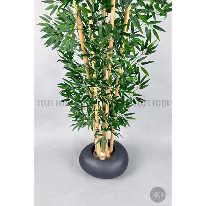 Biçiçek Zen Bambu Ağacı 220-240 Cm Fiber Saksıda Grifiber1