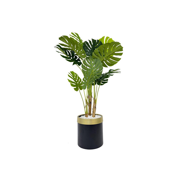 Biçiçek Monstera Ağacı 160cm Siyah Gold Metal Saksıda