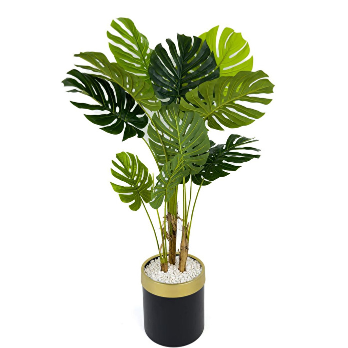 Biçiçek Monstera Ağacı 160cm Siyah Gold Metal Saksıda