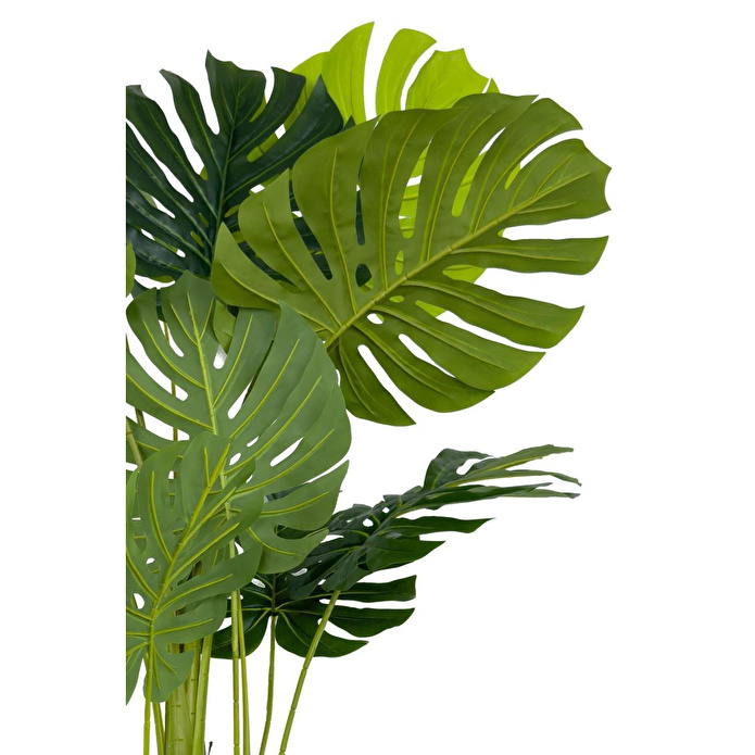 Biçiçek Monstera Ağacı 160cm Siyah Gold Metal Saksıda