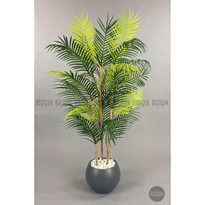Biçiçek 120cm Areka Ağacı 24 Yapraklı Küre Saksıda 2