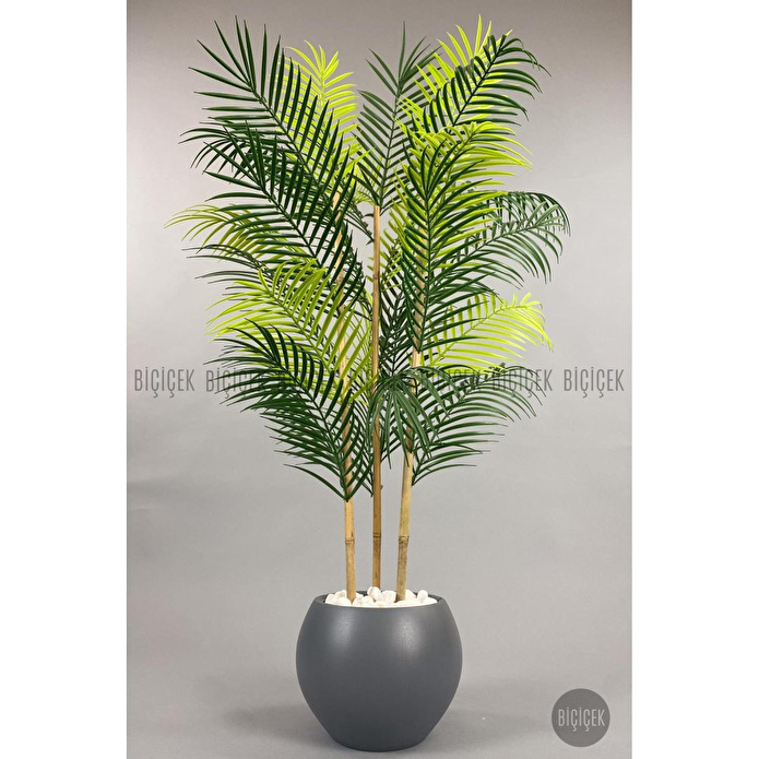 Biçiçek 120cm Areka Ağacı 24 Yapraklı Küre Saksıda 2