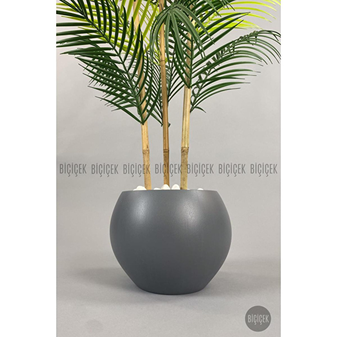 Biçiçek 120cm Areka Ağacı 24 Yapraklı Küre Saksıda 2