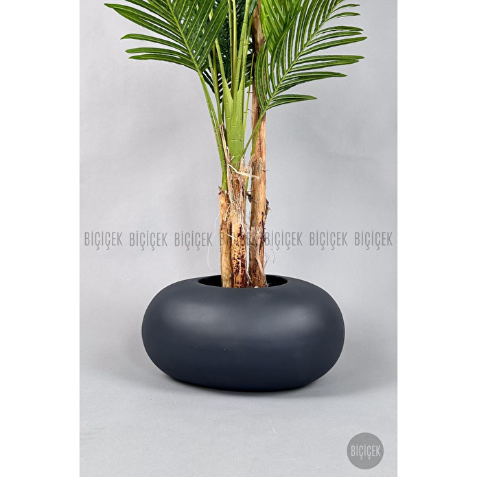 Biçiçek Areka Ağacı 220-240 Cm Grifiber2