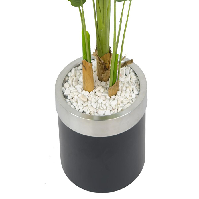 Biçiçek Muz Ağacı 200cm Siyah Gümüş Metal Saksıda