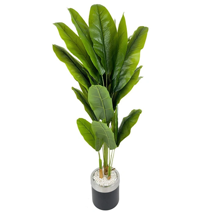 Biçiçek Muz Ağacı 200cm Siyah Gümüş Metal Saksıda