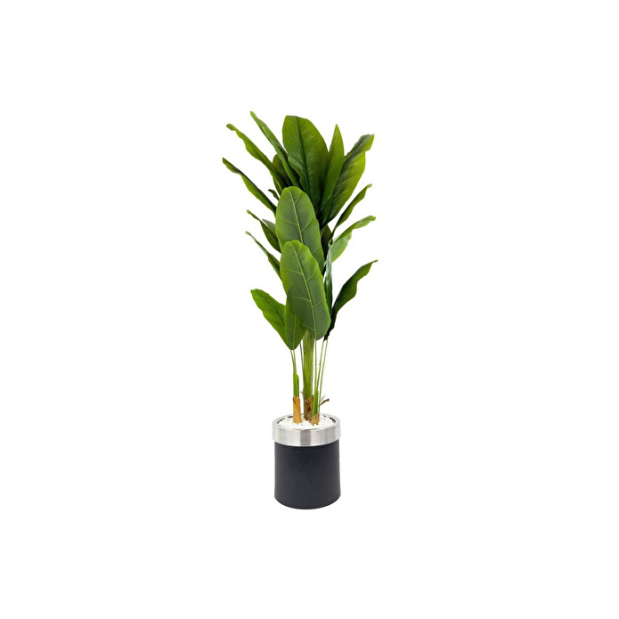 Biçiçek Muz Ağacı 200cm Siyah Gümüş Metal Saksıda