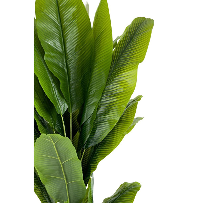 Biçiçek Muz Ağacı 200cm Siyah Gümüş Metal Saksıda