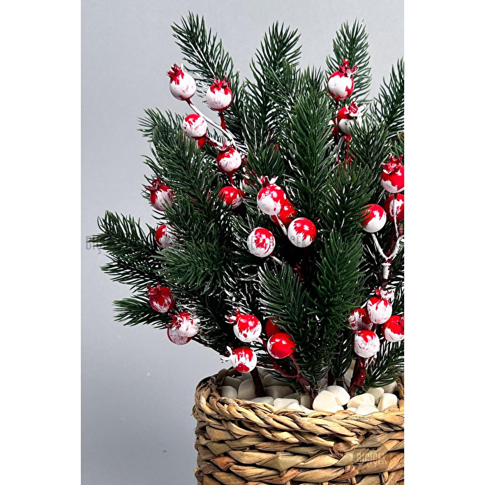 Biçiçek Koki̇na Bi̇tki̇si̇ 35 Cm Hasir Saksida 48 Meyveli̇ Yilbaşi Bi̇tki̇si̇