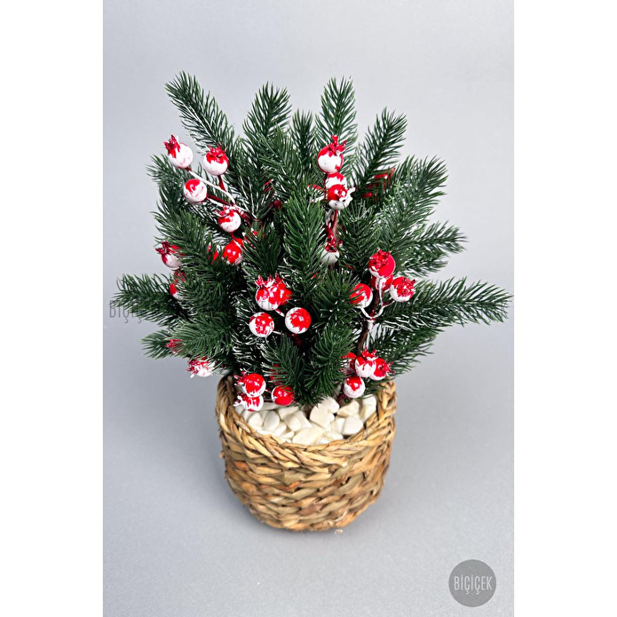 Biçiçek Koki̇na Bi̇tki̇si̇ 35 Cm Hasir Saksida 48 Meyveli̇ Yilbaşi Bi̇tki̇si̇