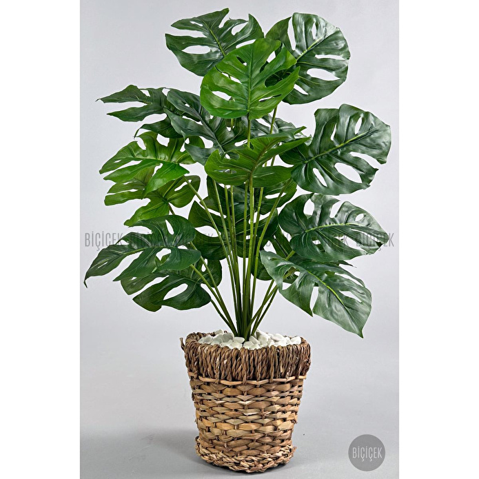 Biçiçek Yapay Monstera Deve Tabanı 65-70 Cm Hasir1