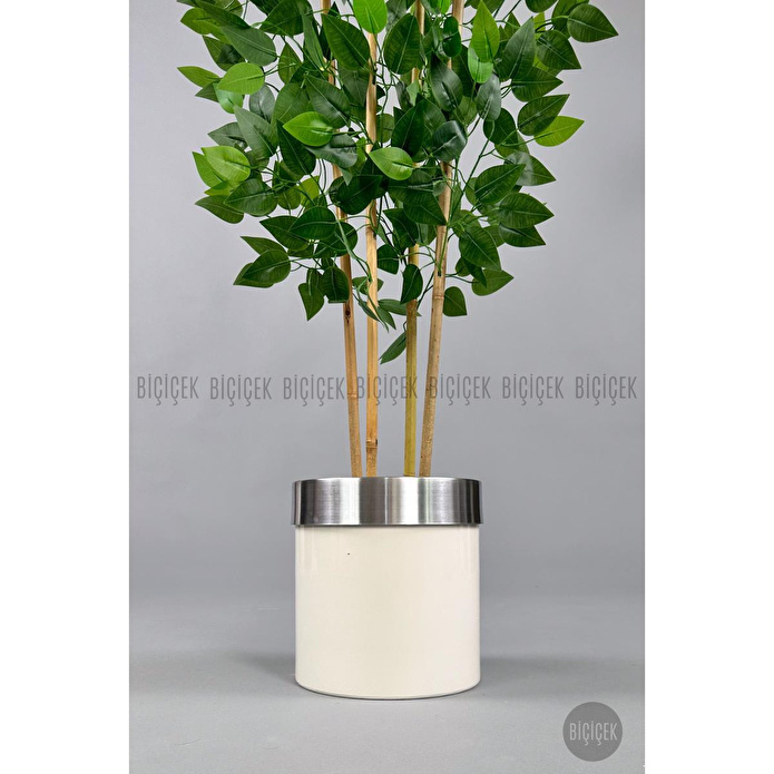Biçiçek Yapay Benjamin Ağacı 140cm Krem Gümüş Metal Saksıda