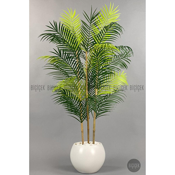 Biçiçek 120cm Areka Ağacı 24 Yapraklı Küre Saksıda 1