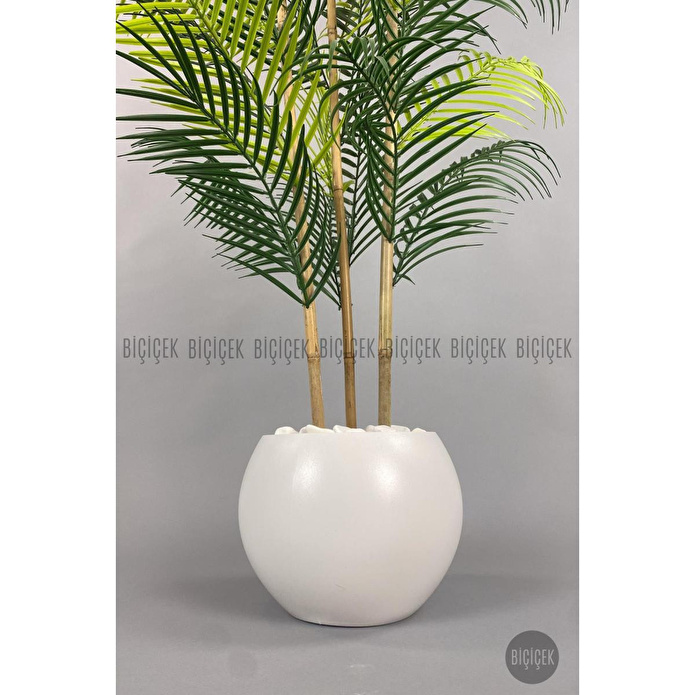 Biçiçek 120cm Areka Ağacı 24 Yapraklı Küre Saksıda 1