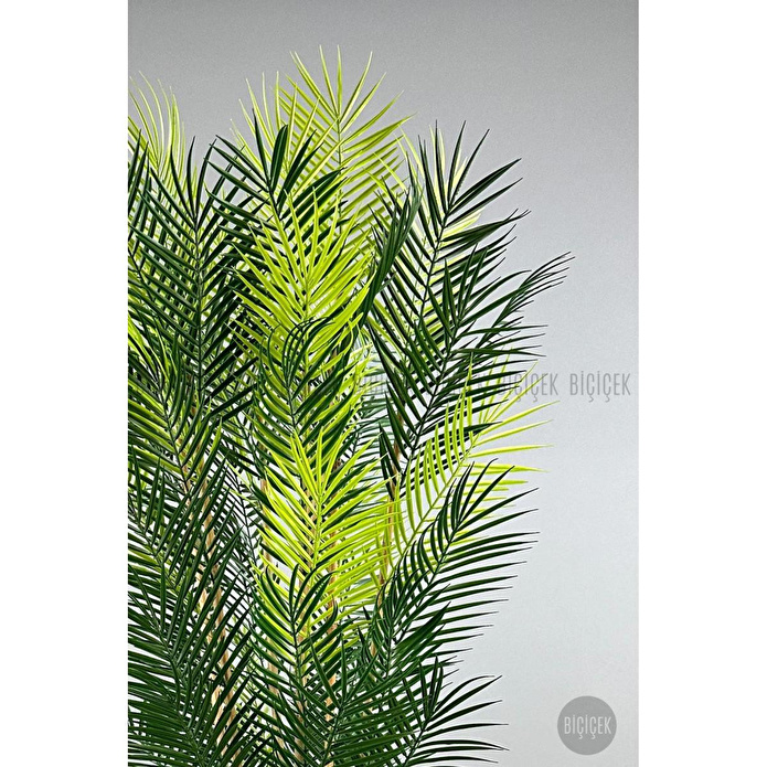 Biçiçek Yapay Areka Palmi̇yesi̇ 6 Gövde Gala Saksida Yoğun Yaprakli 2