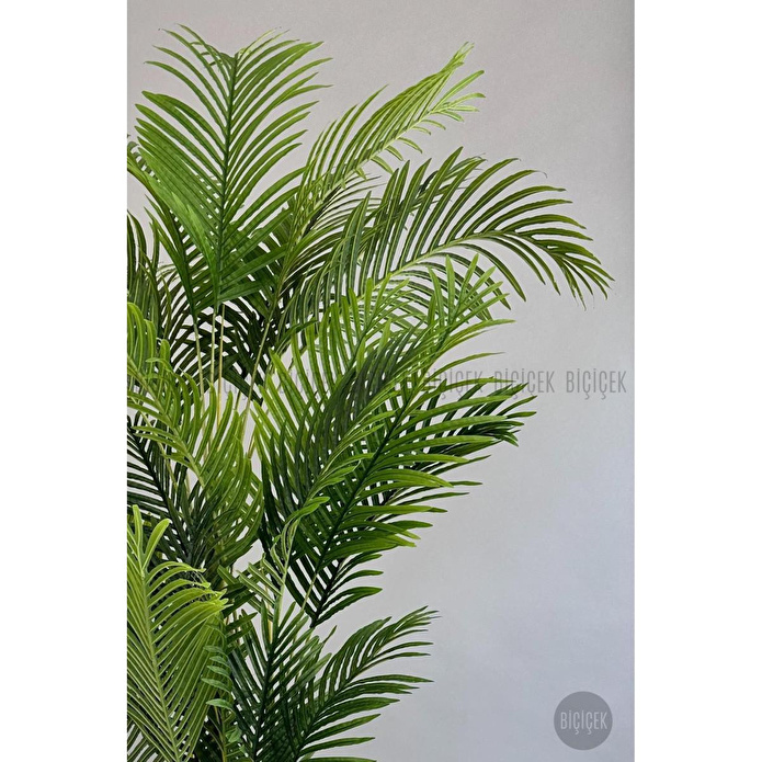 Biçiçek Yapay Areka Palmiyesi 200 Cm Kırıkbeyaz Yakut Saksıda