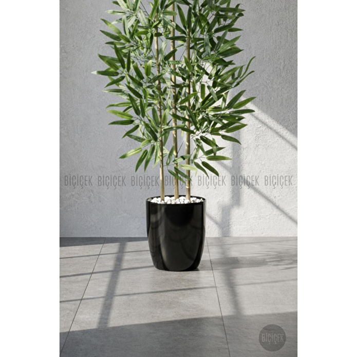 Biçiçek 110 Cm Bambu Ağacı Yakut Saksıda Siyah