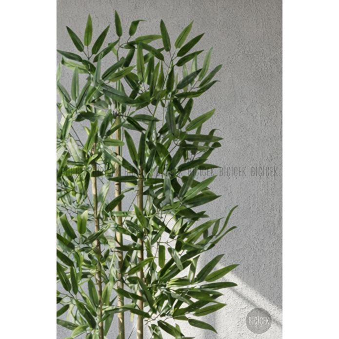 Biçiçek 110 Cm Bambu Ağacı Yakut Saksıda Siyah