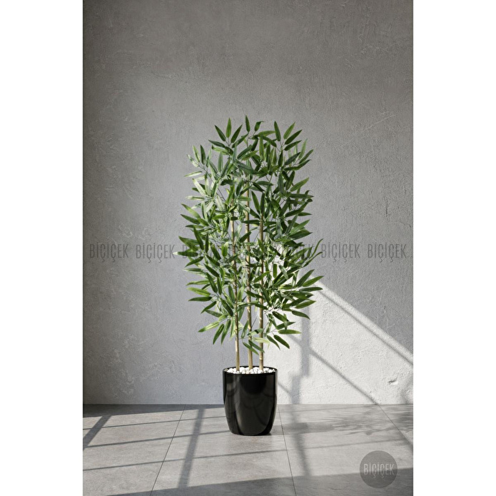 Biçiçek 110 Cm Bambu Ağacı Yakut Saksıda Siyah