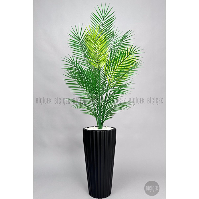 Biçiçek 180 Cm Areka Ağaci 24 Yaprakli Li̇lyum Saksida Siyahlilyum
