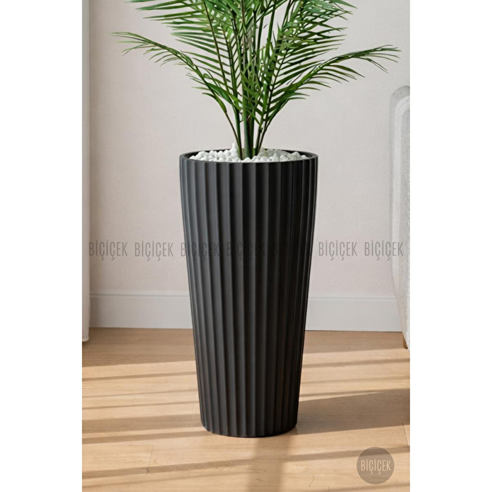 Biçiçek 180 Cm Areka Ağaci 24 Yaprakli Li̇lyum Saksida Siyahlilyum