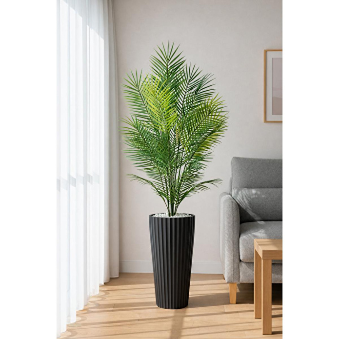 Biçiçek 180 Cm Areka Ağaci 24 Yaprakli Li̇lyum Saksida Siyahlilyum