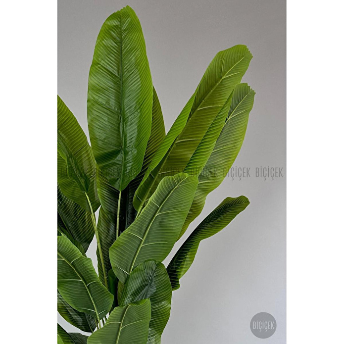 Biçiçek Yapay Muz Ağacı 230 Cm Lux Dış Mekan Saksıda 2