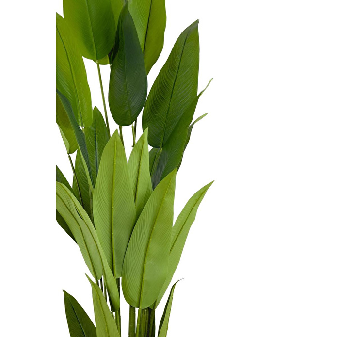 Biçiçek Starliçe 220cm Metal Siyah Gümüş Saksıda