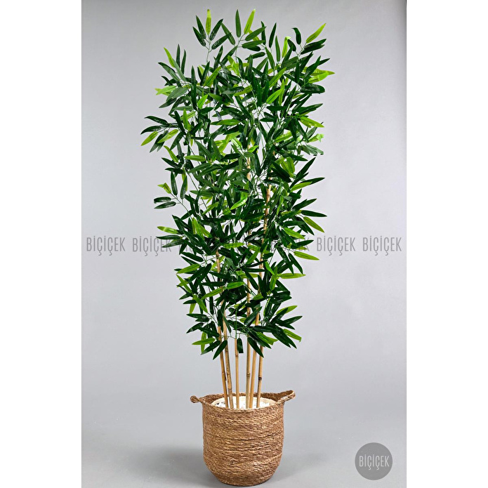 Biçiçek Yapay Bambu Ağacı 6 Dallı 150 Cm Yoğun Yapraklı Hasır1