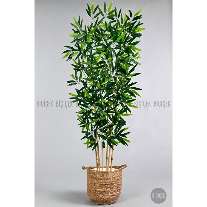 Biçiçek Yapay Bambu Ağacı 6 Dallı 150 Cm Yoğun Yapraklı Hasır1