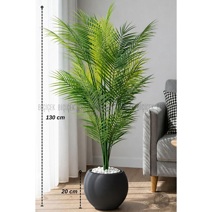 Biçiçek Areka Ağaci 24 Yaprakli 130 Cm Küre Saksida Antrasi̇t