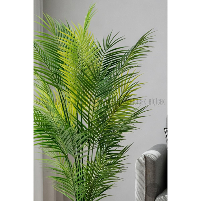 Biçiçek Areka Ağaci 24 Yaprakli 130 Cm Küre Saksida Antrasi̇t