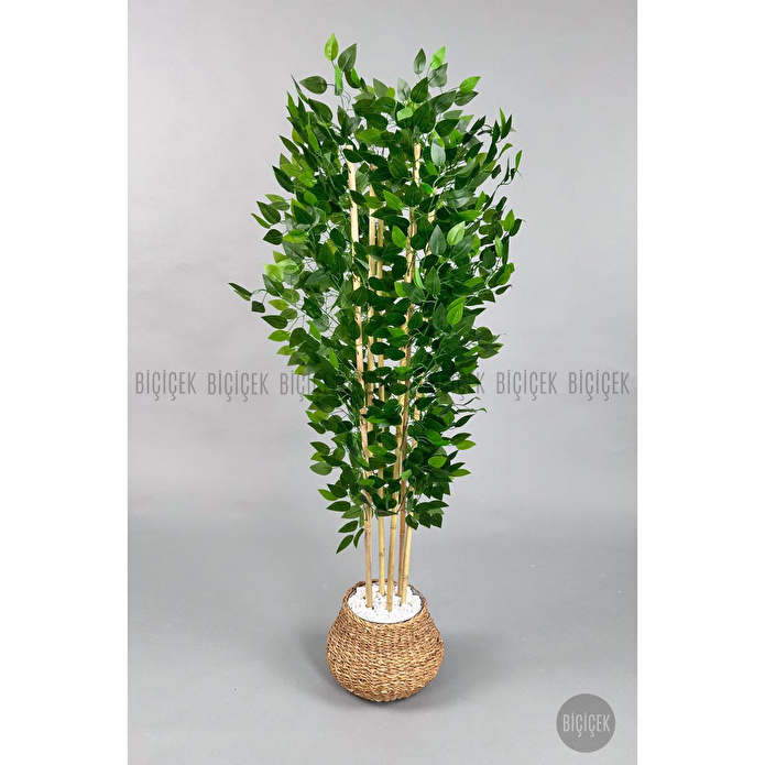 Biçiçek Yapay Benjamin Ağacı 170cm Hasır Geoit Saksıda