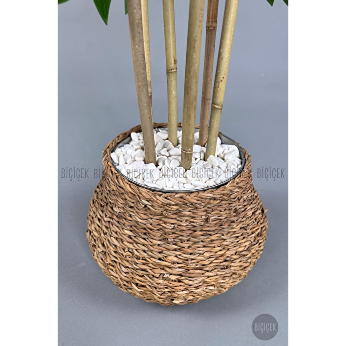 Biçiçek Yapay Benjamin Ağacı 170cm Hasır Geoit Saksıda