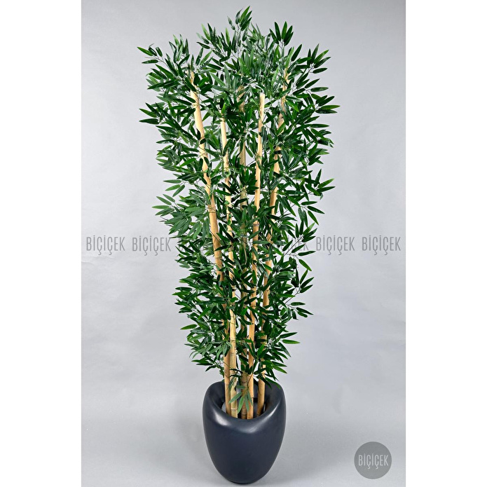 Biçiçek Zen Bambu Ağacı 220-240 Cm Fiber Saksıda Grifiber2