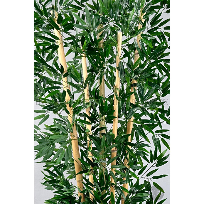 Biçiçek Zen Bambu Ağacı 220-240 Cm Fiber Saksıda Grifiber2