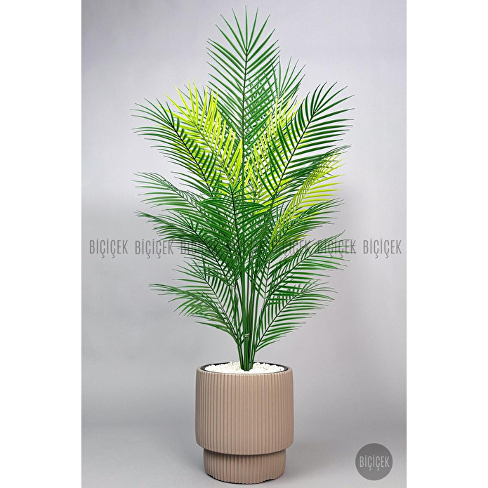 Biçiçek Areka Ağaci 24 Yaprakli 120-130 Cm Kahverengi