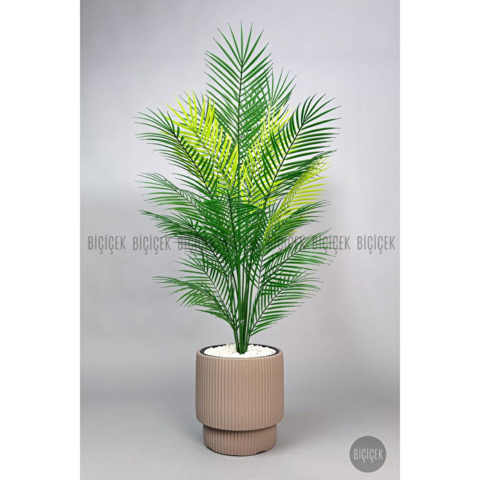Biçiçek Areka Ağaci 24 Yaprakli 120-130 Cm Kahverengi