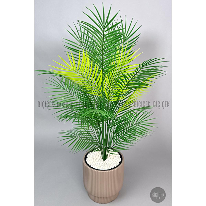 Biçiçek Areka Ağaci 24 Yaprakli 120-130 Cm Kahverengi
