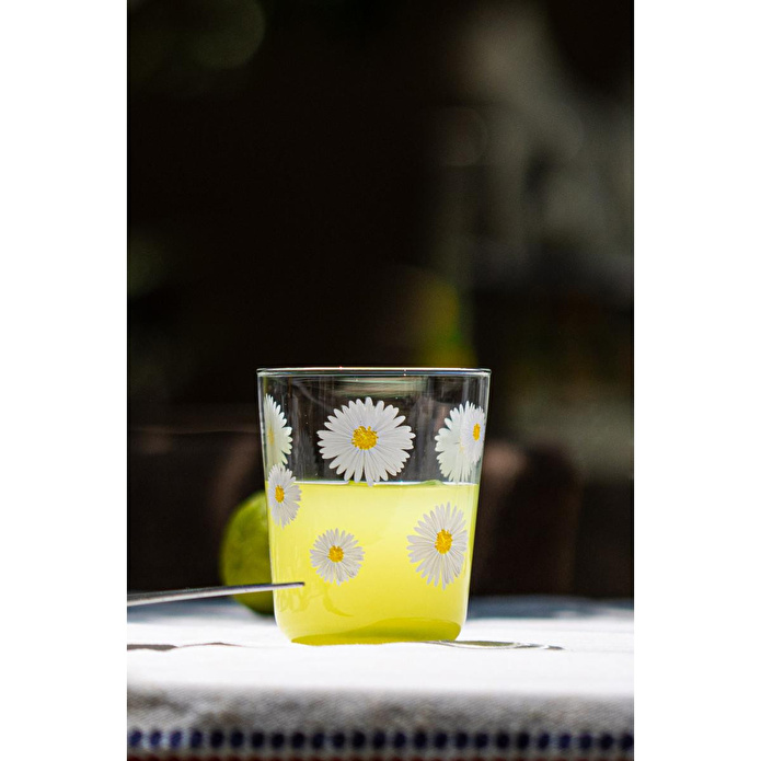 Rakle Fiona 4'lü Su Bardağı Seti 315 Cc